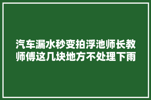 汽车漏水秒变拍浮池师长教师傅这几块地方不处理下雨不要开了