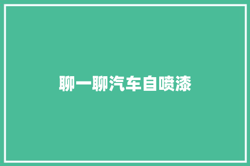 聊一聊汽车自喷漆