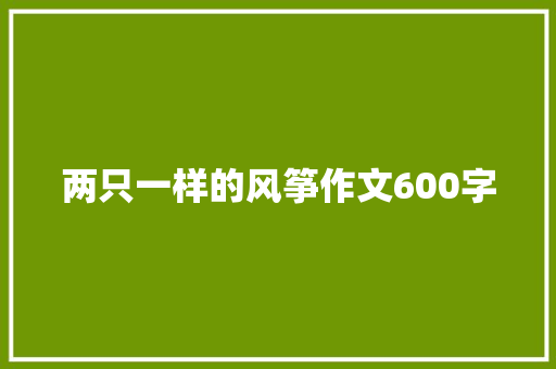 两只一样的风筝作文600字