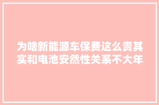 为啥新能源车保费这么贵其实和电池安然性关系不大年夜