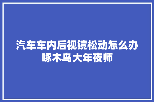 汽车车内后视镜松动怎么办啄木鸟大年夜师