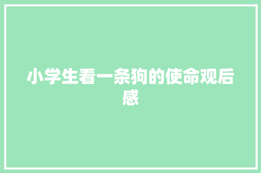 小学生看一条狗的使命观后感