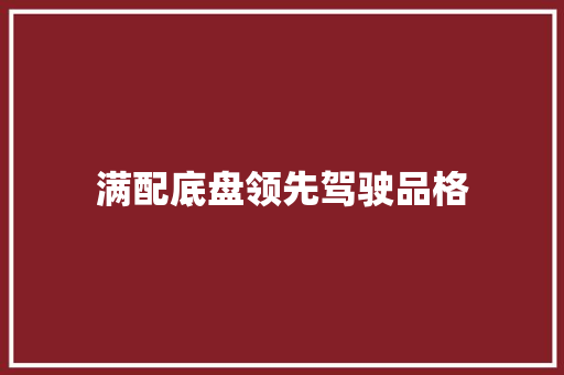 满配底盘领先驾驶品格