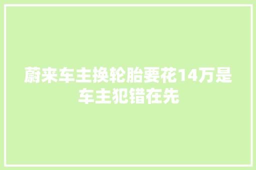 蔚来车主换轮胎要花14万是车主犯错在先