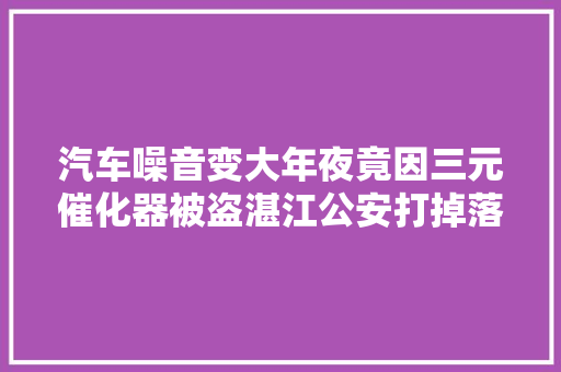 汽车噪音变大年夜竟因三元催化器被盗湛江公安打掉落6个犯罪团伙破案197宗