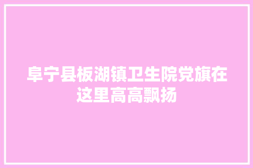 阜宁县板湖镇卫生院党旗在这里高高飘扬