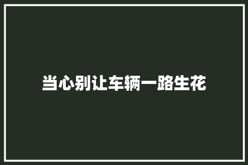 当心别让车辆一路生花