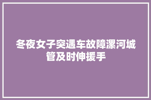 冬夜女子突遇车故障漯河城管及时伸援手