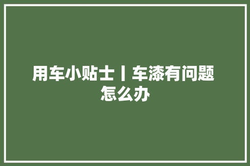 用车小贴士丨车漆有问题 怎么办