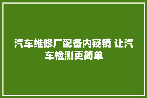 汽车维修厂配备内窥镜 让汽车检测更简单