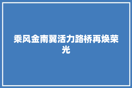 乘风金南翼活力路桥再焕荣光