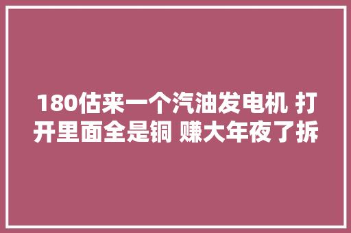180估来一个汽油发电机 打开里面全是铜 赚大年夜了拆解