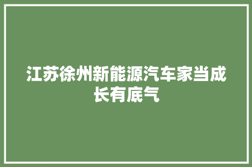 江苏徐州新能源汽车家当成长有底气