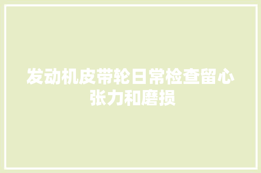 发动机皮带轮日常检查留心 张力和磨损