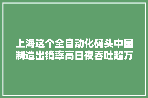 上海这个全自动化码头中国制造出镜率高日夜吞吐超万箱