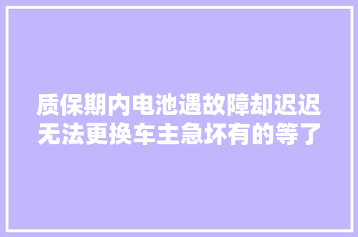 质保期内电池遇故障却迟迟无法更换车主急坏有的等了一年