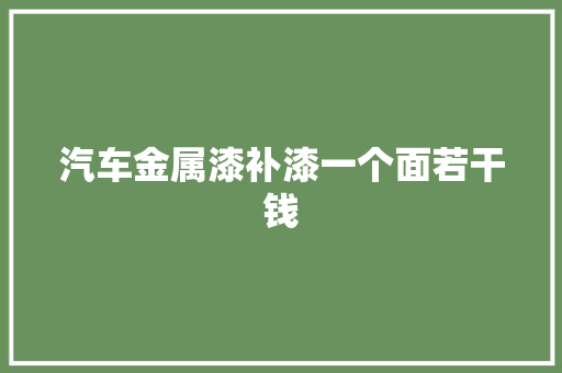 汽车金属漆补漆一个面若干钱