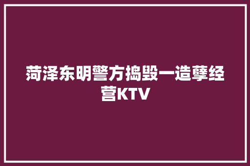 菏泽东明警方捣毁一造孽经营KTV