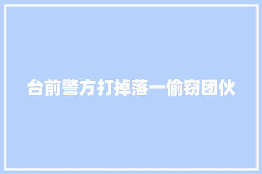 台前警方打掉落一偷窃团伙