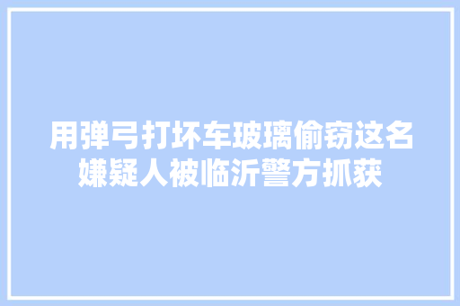 用弹弓打坏车玻璃偷窃这名嫌疑人被临沂警方抓获