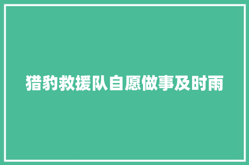 猎豹救援队自愿做事及时雨