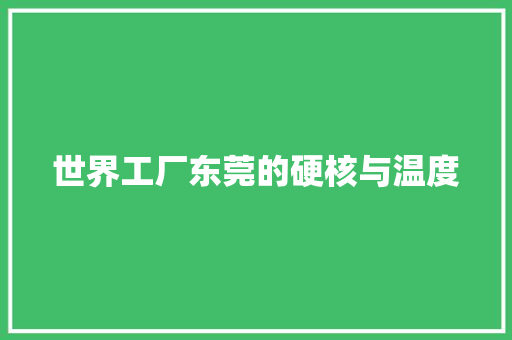 世界工厂东莞的硬核与温度