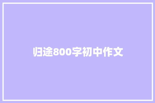 归途800字初中作文