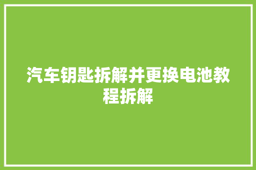 汽车钥匙拆解并更换电池教程拆解 汽车知识