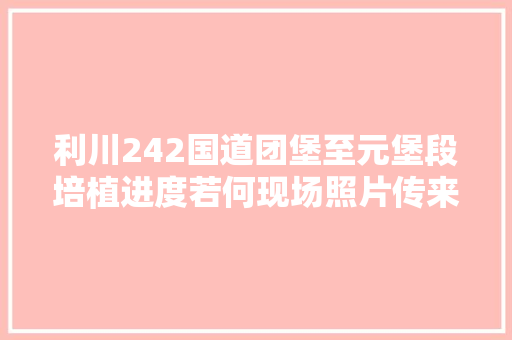 利川242国道团堡至元堡段培植进度若何现场照片传来