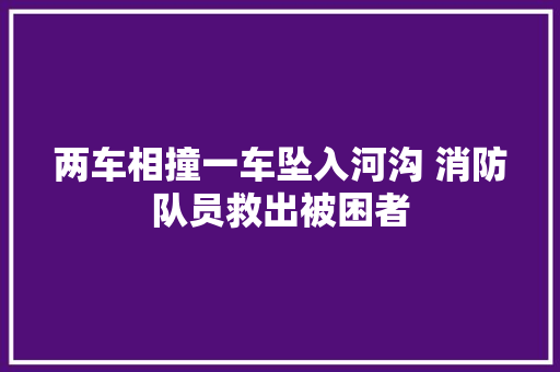 两车相撞一车坠入河沟 消防队员救出被困者 汽车知识