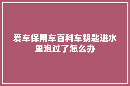 爱车保用车百科车钥匙进水里泡过了怎么办