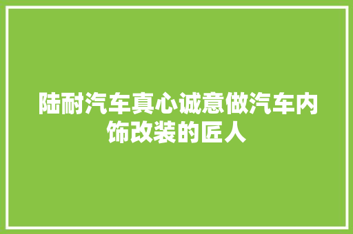 陆耐汽车真心诚意做汽车内饰改装的匠人