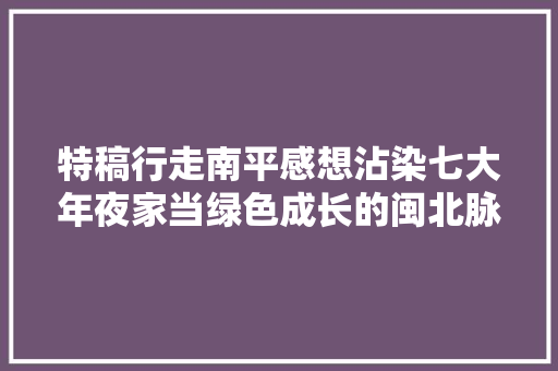 特稿行走南平感想沾染七大年夜家当绿色成长的闽北脉动
