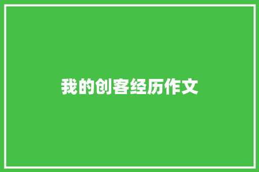 我的创客经历作文