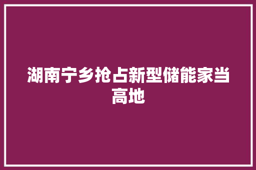 湖南宁乡抢占新型储能家当高地
