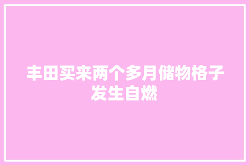 丰田买来两个多月储物格子发生自燃
