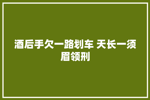 酒后手欠一路划车 天长一须眉领刑