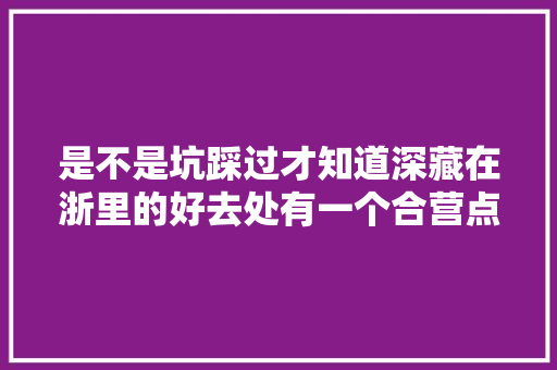 是不是坑踩过才知道深藏在浙里的好去处有一个合营点