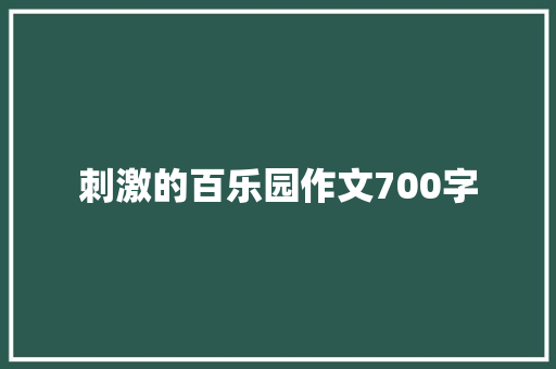 刺激的百乐园作文700字