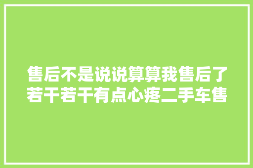 售后不是说说算算我售后了若干若干有点心疼二手车售后