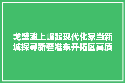 戈壁滩上崛起现代化家当新城探寻新疆准东开拓区高质量成长密码