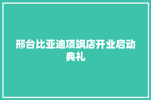 邢台比亚迪项飒店开业启动典礼