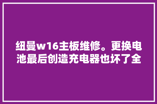 纽曼w16主板维修。更换电池最后创造充电器也坏了全部修好