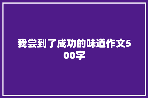 我尝到了成功的味道作文500字