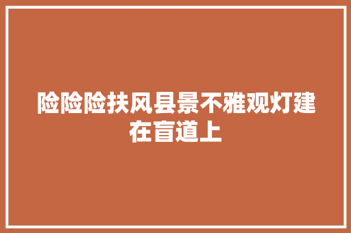 险险险扶风县景不雅观灯建在盲道上