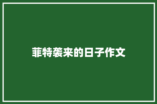 菲特袭来的日子作文