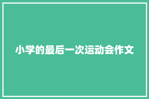 小学的最后一次运动会作文