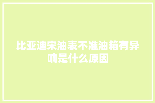 比亚迪宋油表不准油箱有异响是什么原因