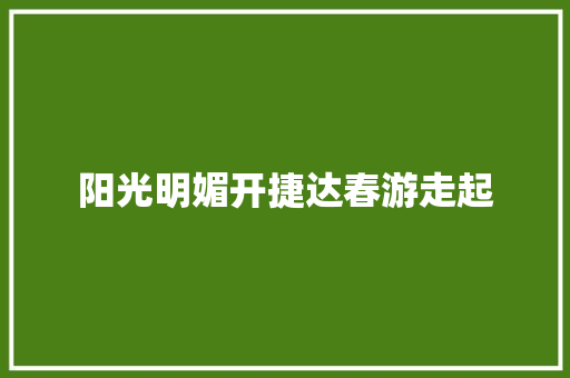 阳光明媚开捷达春游走起