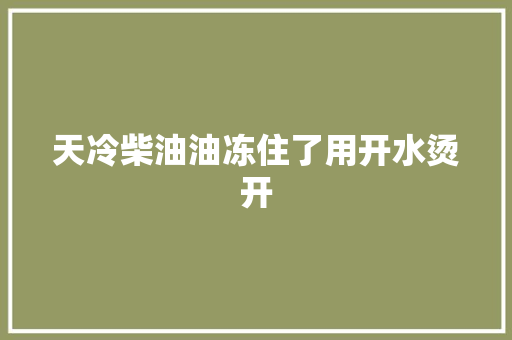 天冷柴油油冻住了用开水烫开